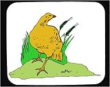 Decorated Mouse Pad with green, walking, yellow, duck, pond