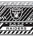 Turner NFL Oakland Raiders Stretch Book Covers (8190187)