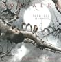 Kobialka: Pathless Journey (A Tribute to Toru Takemitsu)