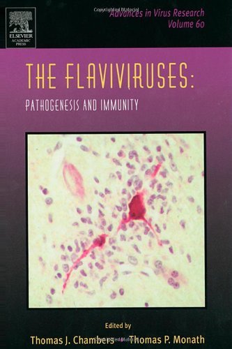 The Flaviviruses: Pathogenesis and Immunity: The Flaviviruses: Current Molecular Aspects of Evo (Advances in Virus Research)