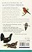 RSPB Handbook of Scottish Birds