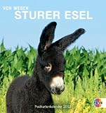 Sturer Esel 2012. Postkartenkalender