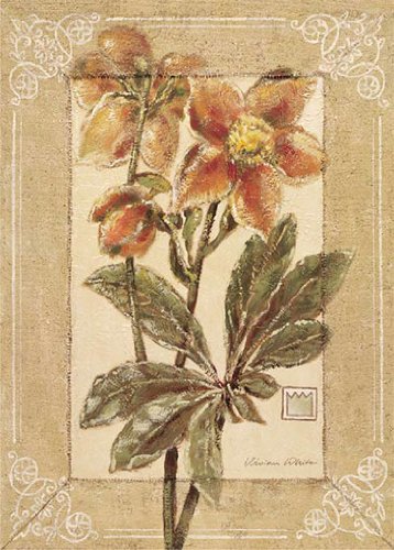 Eurographics VW1009 Hochwertiger Kunstdruck, Vivian White, Helleborus, 50 x 70 cm Preisvergleich