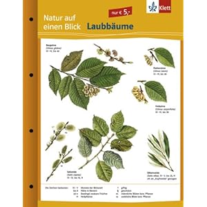 Natur auf einen Blick / Laubbäume