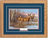 Cautious By Cynthie Fisher Open-Edition Print