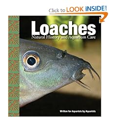 Loaches: Natural History and Aquarium Care