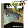 Loaches: Natural History and Aquarium Care by Mark MacDonald