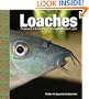 Loaches: Natural History and Aquarium Care
