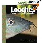 Click here to buy Loaches: Natural History and Aquarium Care by  Mark MacDonald.