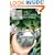The Magician's Nephew (Book 1) (Narnia)