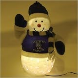 Kentucky Wildcats NCAA Fiber Optic Light-Up Snowman (16)