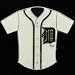 Detroit Tigers Team Jersey Pin