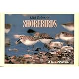 Mid-Atlantic Shorebirds: A Book of Postcards by Down The Shore Publishing