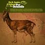 Do It Again : A Tribute to Pet Sounds