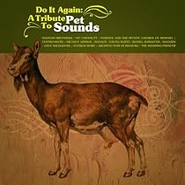 Do It Again : A Tribute to Pet Sounds