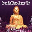 Buddha-Bar, Vol. 9