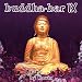 Buddha Bar Ix