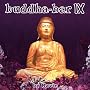 Buddha Bar, Vol. 9