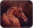 Fiddlers Elbow - Chestnut Horse Mouse Pad by Adeline Halvorson