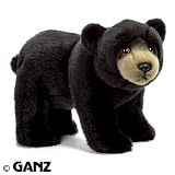 Webkinz Signature Black Bear with Trading Cards