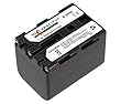Battery-Biz SONY DCR-TRV40 Optional battery