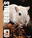 Gerbils
