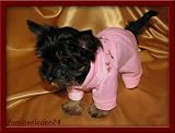 Eigenschaften Seruna GmbH  / HUNDE HAUSANZUG SCHLAFANZUG JOGGER SHIRT GRÖSSE XS (M12)