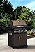Dyna-Glo Bronze 60,000 BTU 4-Burner Propane Gas Grill with Side Burner