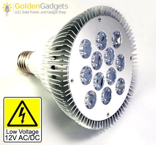  new year Voltage 12 Watt PAR38 Light BulbB00B12TN40