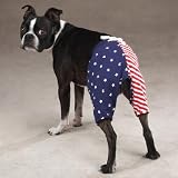 All-American Shorts for Dogs All-American Shorts for Dogs - X-Large