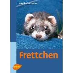 Frettchen