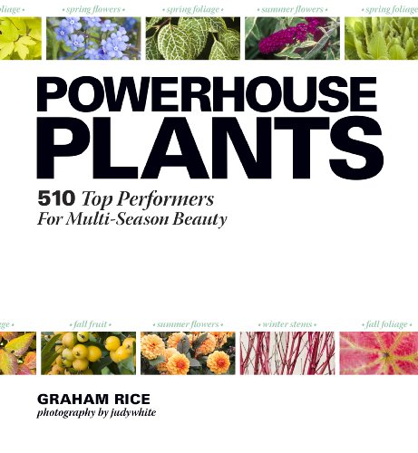 Powerhouse Plants: 510 Top Performers for Multi-Season Beauty