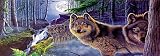 Mystical Moonlight Window Mural