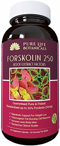 Pure Life Botanicals Forskolin Extract 250MG per V-Cap , 60 Day Supply, Coleus Forskohlii Standardized to 20% -Thermogenic Fat Burning Response - Belly Blasting Weight Formula - Clinically Researched and Empty Bottle Guarantee