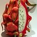 Dragon Fruit Plant - Hylocereus - Pitaya/Strawberry Pear - 3" Pot