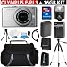 Olympus Pen E-PL3 Micro 4/3 Digital Camera & 14-42mm II Lens (Silver) + 16GB Advanced Accessory Kit