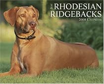Just Rhodesian Ridgebacks Calendar
