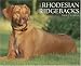 Book Just Rhodesian Ridgebacks 2008 Calendar (Just)