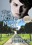 After the Tears Melt - Vol. 2 (Book 4 of the new, mesmerizing, Muse Series)