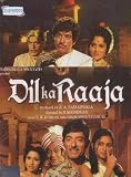 Dil Ka Raaja (1972) (Hindi Film / Bollywood Movie / Indian Cinema DVD)