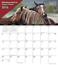 2016 What Horses Teach Us Magnetic Calendar