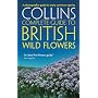 Collins Complete Guide to British Wild Flowers: A Photographic Guide to Every Common Species
