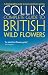 Collins Complete Guide to British Wild Flowers: A Photographic Guide to Every Common Species (Complete British Guides)
