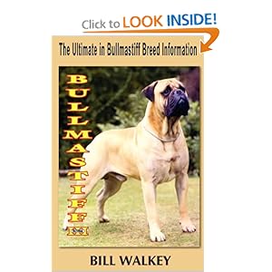 Bullmastiff Information