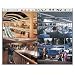 Network Camera Software
