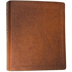 ESV Journaling Bible (Mocha, Threshold Design)