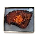 Baltic Honey Amber Sterling Silver Museum Collection Art Deco Pin