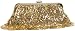 BCBGMAXAZRIA Canelles Mesh Evening Clutch
