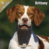Brittany 2011 Wall Calendar #10083-11