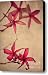 Red Frangipani Flowers. Touch of Japanese Style Canvas Print / Canvas Art - Artist Jenny Rainbow